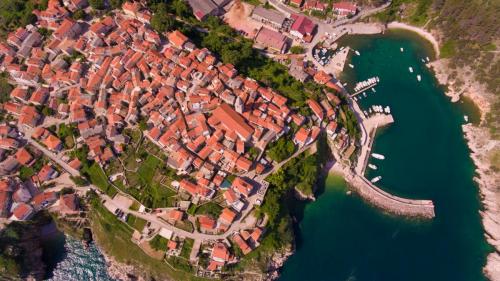 DJI_0461